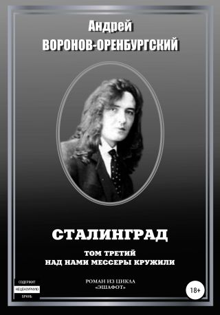 Сталинград. Том третий. Над нами мессеры кружили