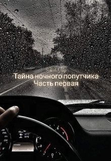 Тайна ночного попутчика