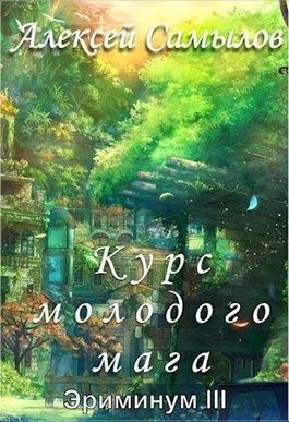 Курс молодого мага