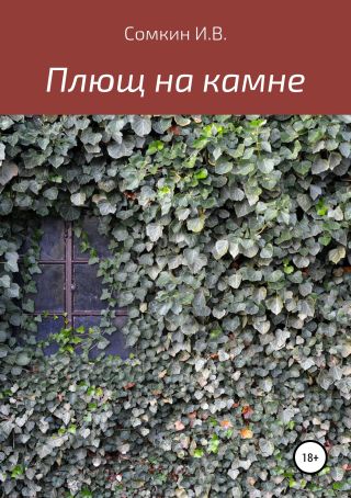 Плющ на камне