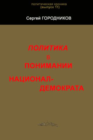 ПОЛИТИКА В ПОНИМАНИИ НАЦИОНАЛ-ДЕМОКРАТА
