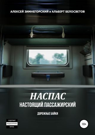 НАСПАС. Настоящий пассажирский. Дорожные байки
