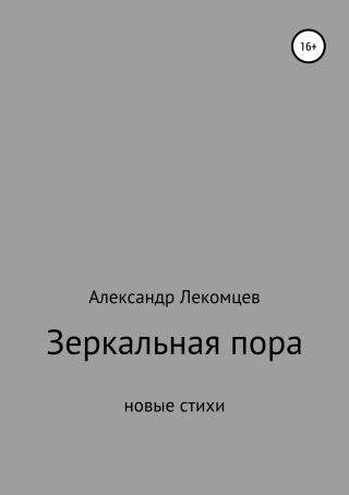 Зеркальная пора