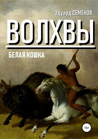 Волхвы. Белая кошка