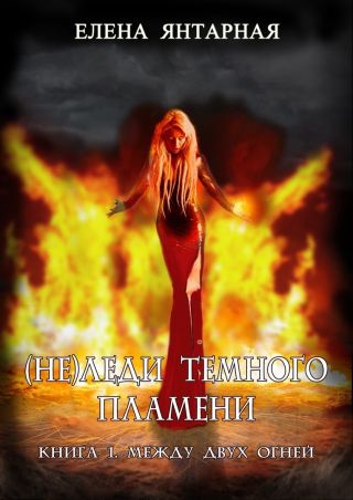 (Не)Леди темного пламени, книга 1. Между двух огней