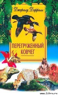 Перегруженный ковчег