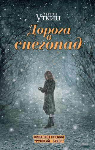 Дорога в снегопад