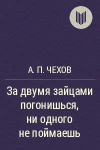 За двумя зайцами погонишься, ни одного не поймаешь