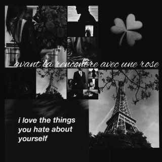 ????Avant la rencontre avec une rose