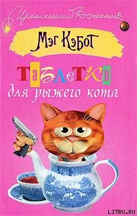 Таблетки для рыжего кота