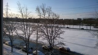 Селенские прихвостни