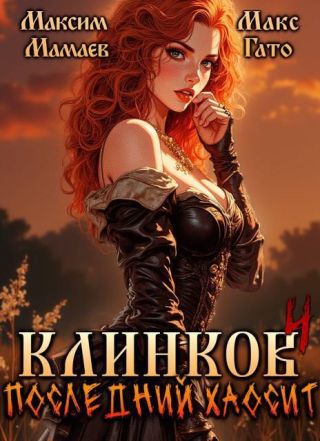 Клинков 4. Последний хаосит