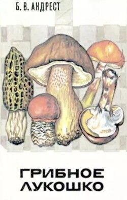 Грибное лукошко