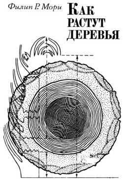 Как растут деревья