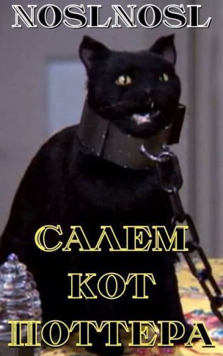 Салем кот Поттера