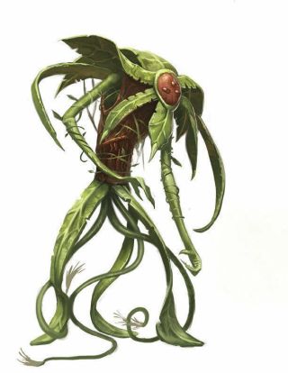 Звёзды сошлись