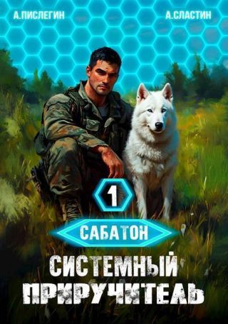 Системный приручитель 1