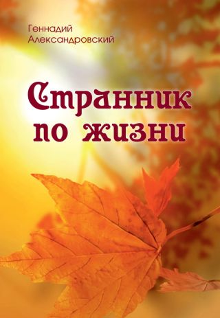 Странник по жизни (сборник)