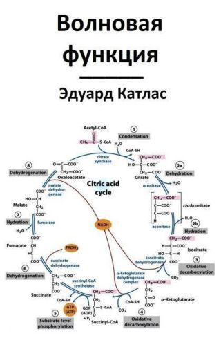 Волновая функция