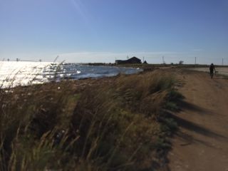 Необычные и целительные озера Крыма и причудливо=таинственный Сиваш