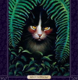 Честный ответ Пестролистой