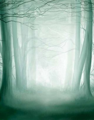 Заповедник. Кладовая Богов