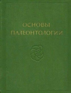 Моллюски - головоногие. Ч. II