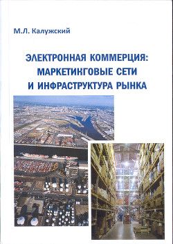 Электронная коммерция: маркетинговые сети и инфраструктура рынка