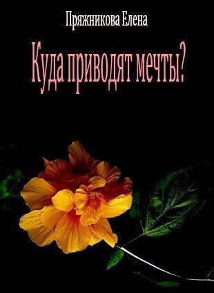 Куда приводят мечты?