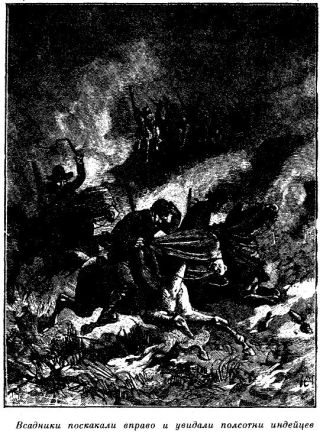 Приключения в стране бизонов