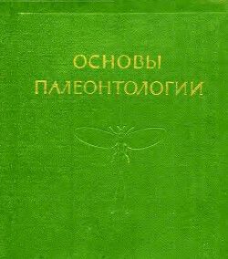 Членистоногие — трахейные и хелицеровые