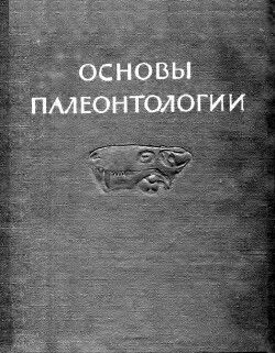 Земноводные, пресмыкающиеся и птицы