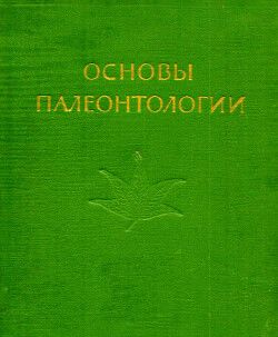 Голосеменные и покрытосеменные