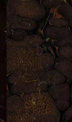 История Петра Великого, отца отечества, для детей