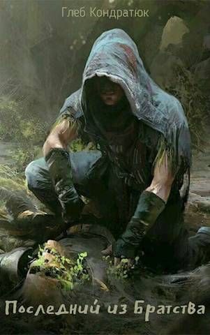 Последний из Братства. Открытый мир