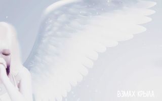 Взмах крыла