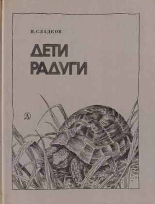 Дети радуги