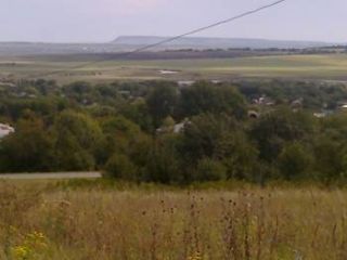 Станичные истории