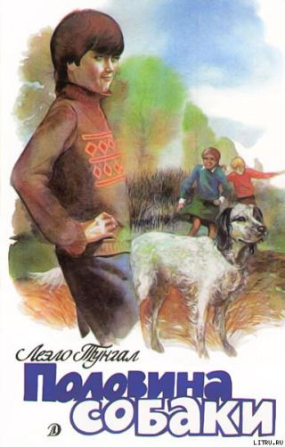 Половина собаки