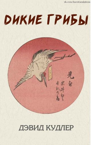 Дикие грибы