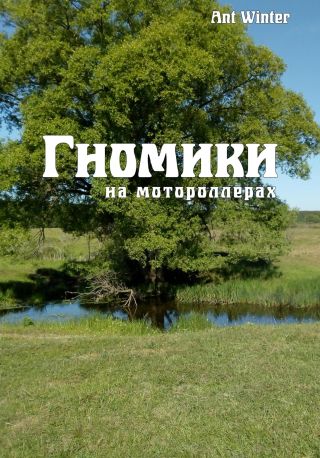 Гномики на мотороллерах