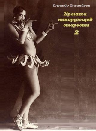 Хроника пикирующей старости - 2