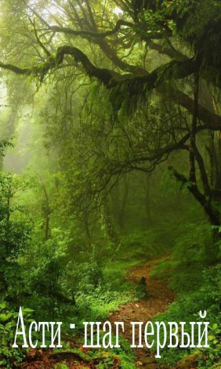 Асти - шаг первый