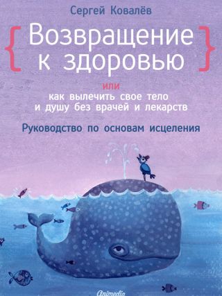 Возвращение к здоровью или как вылечить свое тело и душу без врачей и лекарств. Руководство по основам исцеления