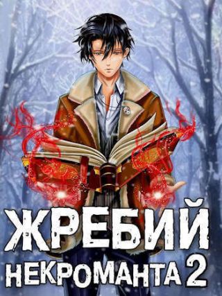 Жребий некроманта 2