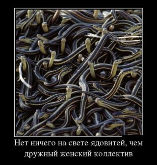 Телохранитель ее величества: Точка невозврата