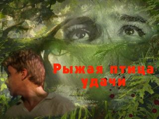 Рыжая птица удачи